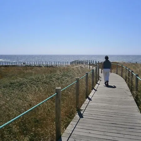 Sea Sight